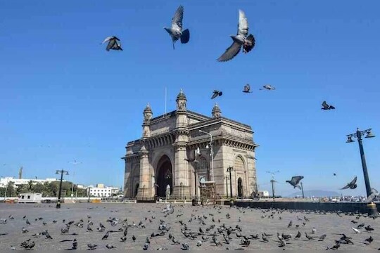 भारताने लॉकडाऊन हटवण्याची घाई करू नये, जागतिक तज्ञांचा सल्ला