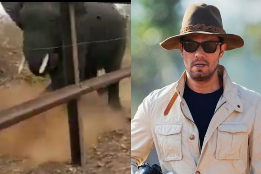 धावणाऱ्या हत्तीवर निर्दयीपणे चालवली गोळी, VIRAL VIDEO पाहून भडकला रणदीप हुड्डा