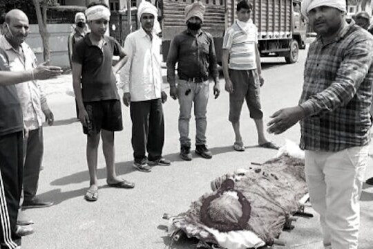 'माझी पत्नी तर जग सोडून गेली पण तुम्हाला त्रास नको' कोरोनामुळे अंगावर शहारे आणणारा अंत्यसंस्कार