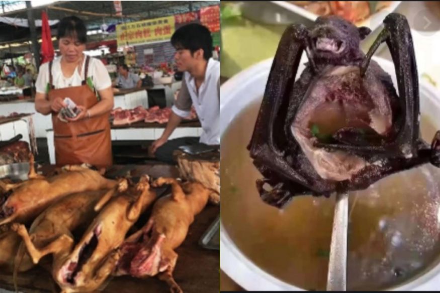 चीनमध्ये कोरोनावर विजय मिळवल्याचा आनंद साजरा; कुत्रा, मांजर आणि वटवाघुळाचे मांस खरेदी करण्यासाठी मोठी गर्दी