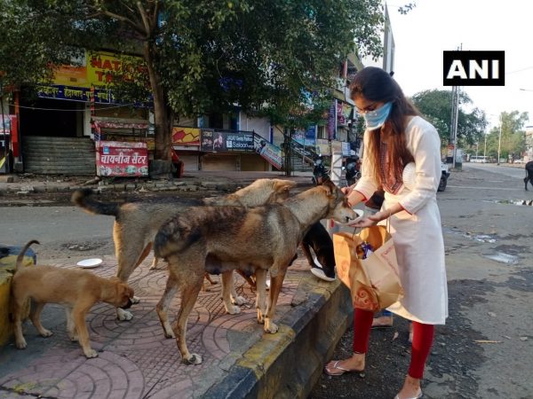 कोरोनाचं संक्रमण रोखण्यासाठी देशभरात लॉकडाऊन करण्याचा निर्णय घेण्यात आल्यानंतर जीवनावश्यक वस्तू आणि अत्यावशक सेवा वगळता सर्व बंद ठेवण्यात आलं आहे. याच संकटात सापडलेल्या प्राण्यांचेही हाल होत असल्याचं पाहायला मिळत आहे. कोरोनाचं संक्रमण रोखण्यासाठी देशभरात लॉकडाऊन करण्याचा निर्णय घेण्यात आल्यानंतर जीवनावश्यक वस्तू आणि अत्यावशक सेवा वगळता सर्व बंद ठेवण्यात आलं आहे. याच संकटात सापडलेल्या प्राण्यांचेही हाल होत असल्याचं पाहायला मिळत आहे.