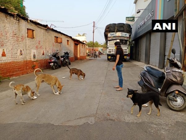 या कुत्र्यांना लॉकडाऊन काळात खायला घालणारं कुणीही नाही. त्यांचीही होत असणारी परवड या दोन तरुणींना पाहावली नाही. त्यांनी बाहेर पडून या कुत्र्यांना शोधलं आणि त्यांना खायला दिलं. या कुत्र्यांना लॉकडाऊन काळात खायला घालणारं कुणीही नाही. त्यांचीही होत असणारी परवड या दोन तरुणींना पाहावली नाही. त्यांनी बाहेर पडून या कुत्र्यांना शोधलं आणि त्यांना खायला दिलं.