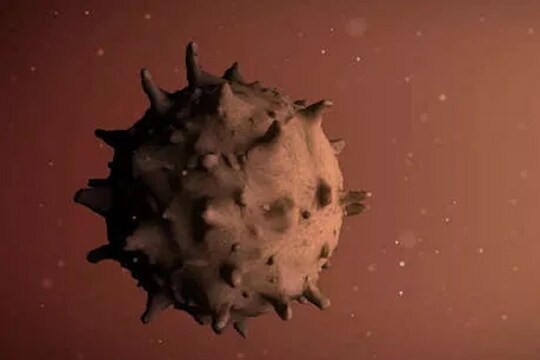 10 ते 15 वर्षांआधीच माणसांमध्ये पसरला Coronavirus, आता घेतोय जीव; धक्कादायक संशोधन