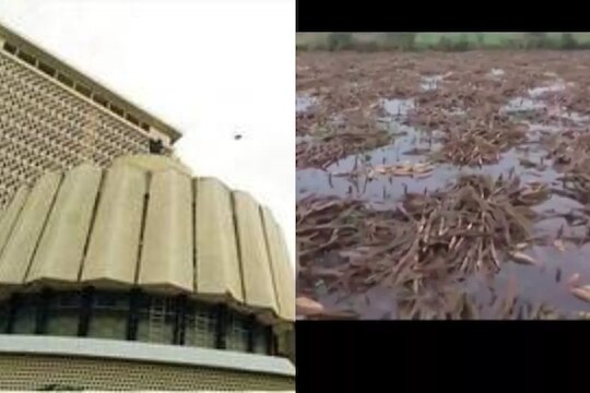 अवकाळी पावसामुळे शेतकरी हतबल, अधिवेशनाच्या दुसऱ्या आठवड्यात विरोधक आक्रमक