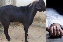 महिलेची करुण कहाणी! बकरी विकून घरी आणावं लागलं नवऱ्याचं शव