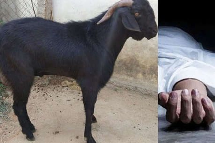 महिलेची करुण कहाणी! बकरी विकून घरी आणावं लागलं नवऱ्याचं शव