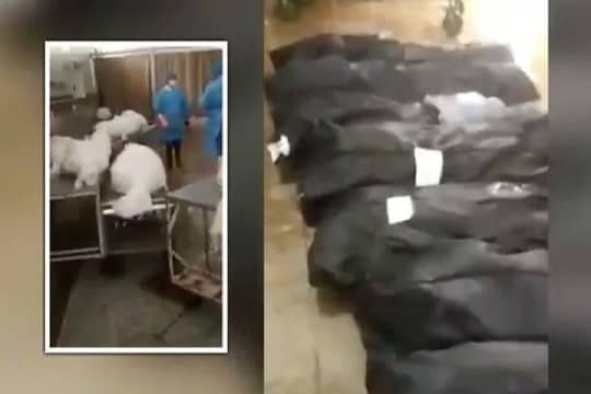 कोरोनाव्हायरसचा सर्वात धक्कादायक VIDEO, रुग्णालयात पडलाय 107 मृतदेहांचा खच