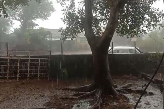 येत्या 12 तासांत हवामान मोठा बदल, महाराष्ट्रात मुसळधार पावसाचा अंदाज