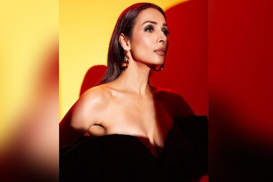 लॉकडाऊनमध्ये मलायकाला अर्जुन नव्हे तर मग कोणाची येतेय आठवण, पहा PHOTO