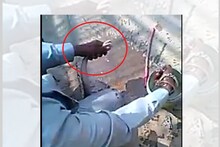 तरुणाने कोब्रा नागाचा केला अमानुष छळ, धक्कादायक प्रकाराचा VIDEO समोर