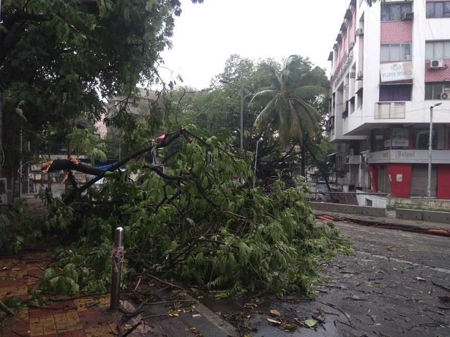 शनिवारी दुपारनंतर पुण्यात वादळी वाऱ्यासह अवकाळी पाऊस झाला. यामुळे अनेक रस्त्यांवर झाडे उन्मळून पडली आहेत. शनिवारी दुपारनंतर पुण्यात वादळी वाऱ्यासह अवकाळी पाऊस झाला. यामुळे अनेक रस्त्यांवर झाडे उन्मळून पडली आहेत.