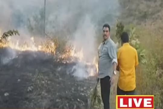 VIDEO : जिगरबाज संयाजी शिंदे! डोंगरावर लागलेली आग विझवताना सांगितला थरारक अनुभव