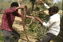 Tik Tokवर फेमस होण्यासाठी सापासोबत केला डान्स नंतर जिवंत जाळलं Tik Tokवर फेमस होण्यासाठी सापासोबत केला डान्स नंतर जिवंत जाळलं