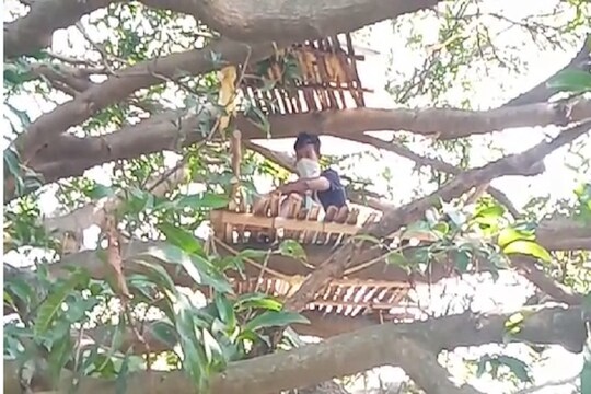 घरात जागा नाही, म्हणून झाडावर झाले 'क्वारंटाइन'; तरीही पाळताहेत 14 दिवसांचे सगळे नियम