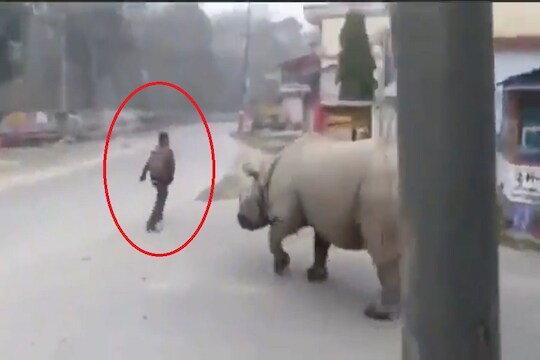 लॉकडाऊनमध्ये रस्त्यावर फिरणाऱ्या माणसाच्या मागे लागला गेंडा आणि... पाहा VIDEO