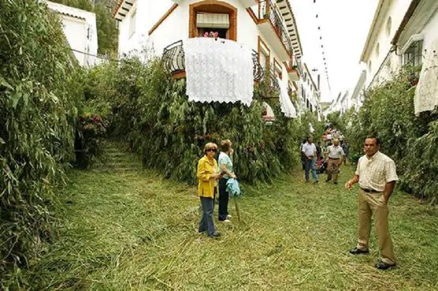 जहारा डी ला सिएरामध्ये जाण्यासाठी आता एकच रस्ता सुरु आहे. या ठिकाणी फक्त एकच पोलिस अधिकारी तैनात करण्यात आला आहे. जहारा डी ला सिएरामध्ये जाण्यासाठी आता एकच रस्ता सुरु आहे. या ठिकाणी फक्त एकच पोलिस अधिकारी तैनात करण्यात आला आहे.