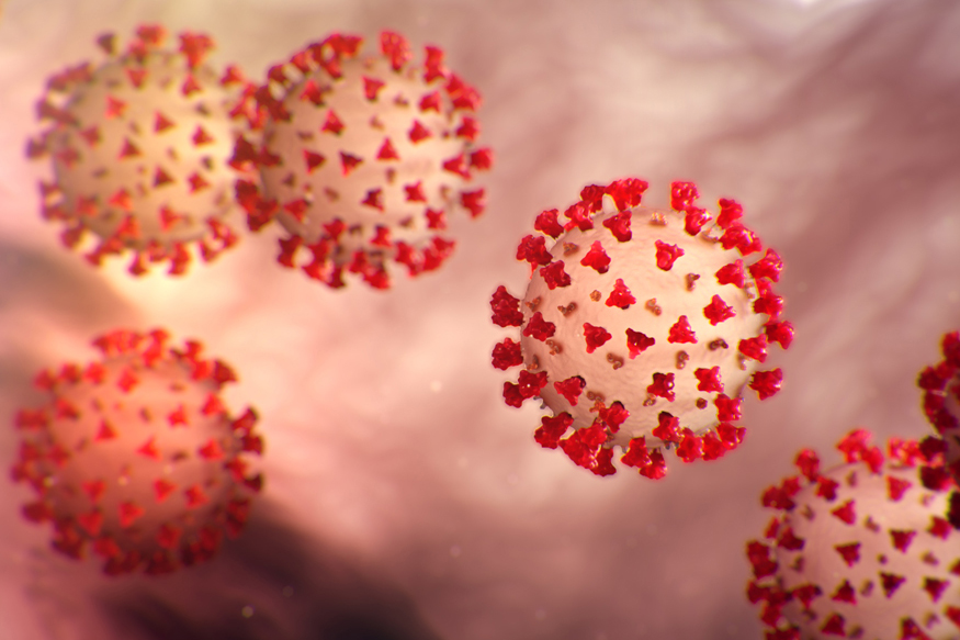 चिकण, मटणसह सर्व गोष्टी घरपोच, असं कोरोनामुक्त झालं बारामती शहर