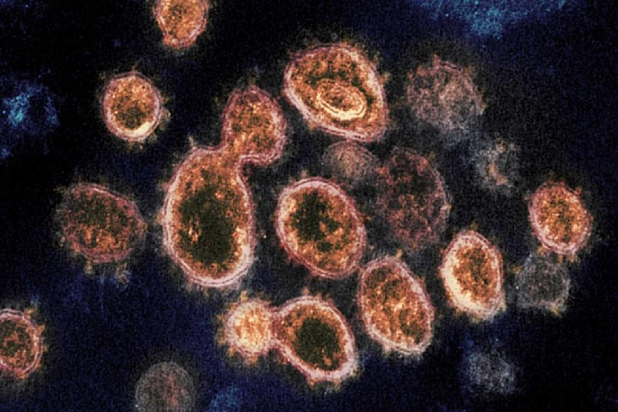 जगभरात शेकडो Coronavirus, आतापर्यंत 7 मानवासाठी ठरले घातक