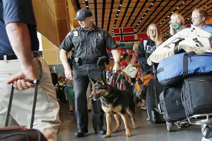 Corona विरोधी लढ्यात मुक्या जीवांची मदत, लवकरच कुत्रा ओळखणार कोरोनाग्रस्त व्यक्ती