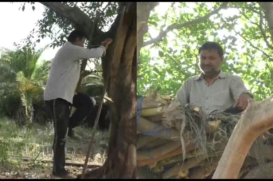 कोरोना व्हायरसपासून वाचण्यासआठी जगभरात सध्या वेगवगेळ्या गोष्टी केल्या जात आहे. पण त्यातही सोशल डिस्टन्सिंग सध्या प्रत्येक देशात सक्तीचं करण्यात आलं आहे. पण भारतातल्या या पठ्ठ्यानं सोशल डिस्टन्सिंगसाठी चक्क झाडावरच घर बांधलं आहे. (फोटो-ANI ट्विटर ) कोरोना व्हायरसपासून वाचण्यासआठी जगभरात सध्या वेगवगेळ्या गोष्टी केल्या जात आहे. पण त्यातही सोशल डिस्टन्सिंग सध्या प्रत्येक देशात सक्तीचं करण्यात आलं आहे. पण भारतातल्या या पठ्ठ्यानं सोशल डिस्टन्सिंगसाठी चक्क झाडावरच घर बांधलं आहे. (फोटो-ANI ट्विटर )