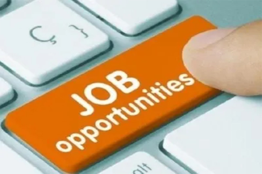 भारतीयांना दिलासा! इतर देशांच्या तुलनेत कोरोनाच्या संकटकाळात होतेय सर्वाधिक नोकरभरती- अहवाल