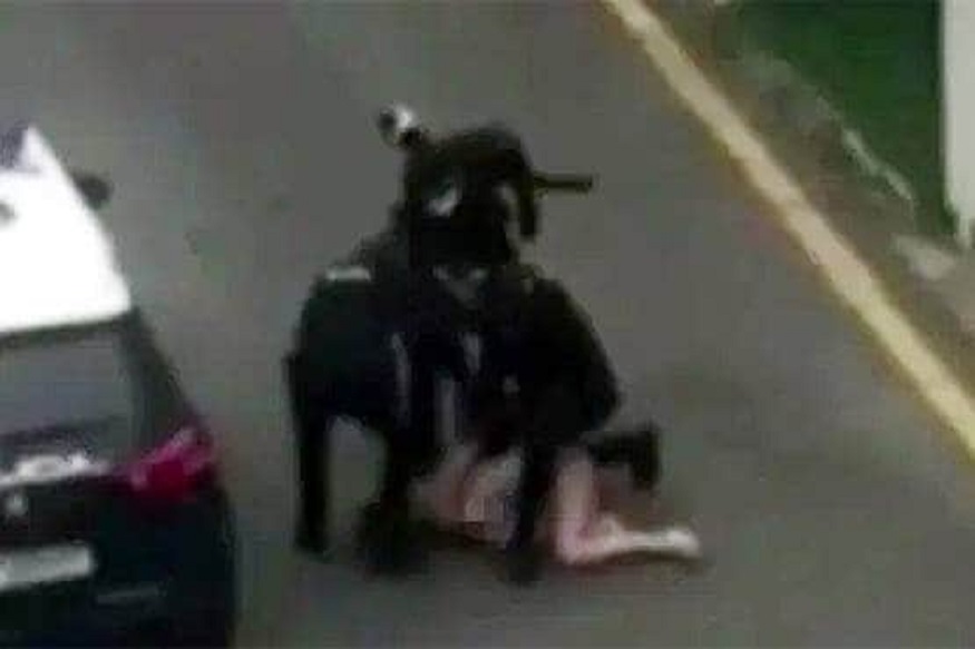 VIDEO : लॉकडाऊनला कंटाळून रस्त्यावर आली महिला, पोलीस येताच काढले कपडे आणि...