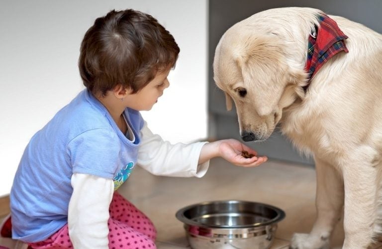 सेंटर फॉर डिसीज कंट्रोल अँड प्रिव्हेंशनच्या (CDC) रिपोर्टनुसार कोरोना व्हायरचे अनेक प्रकार आहेत. ज्यापैकी काहींचं संक्रमण प्राण्यांना होण्याची शक्यता आहे. सेंटर फॉर डिसीज कंट्रोल अँड प्रिव्हेंशनच्या (CDC) रिपोर्टनुसार कोरोना व्हायरचे अनेक प्रकार आहेत. ज्यापैकी काहींचं संक्रमण प्राण्यांना होण्याची शक्यता आहे.