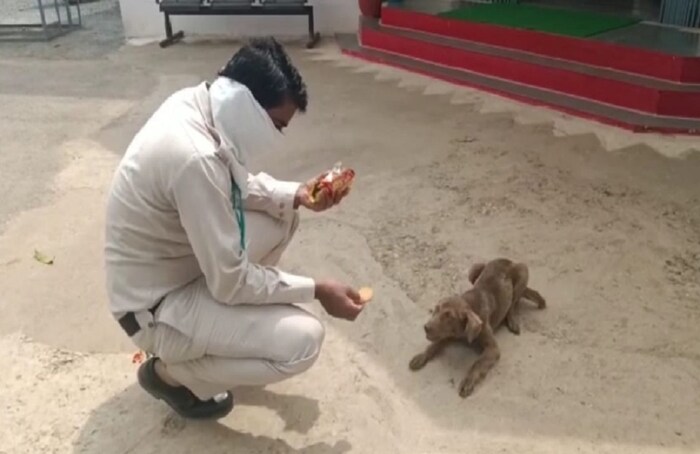 माणसांना बोलता येतं म्हणून ते अडचणी सांगू शकतात पण मुक्या प्राण्यांचं काय? अशा प्राण्यांची भूक भागवताना एका पोलीस कर्मचाऱ्याचा फोटो व्हायरल होत आहे. 