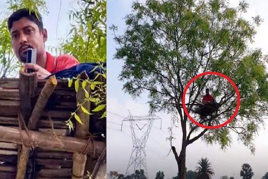 विद्यार्थ्यांसाठी शिक्षक झाडावर, ऑनलाइन शिकवणीमध्ये येणाऱ्या अडथळ्यावर असा काढला मार्ग