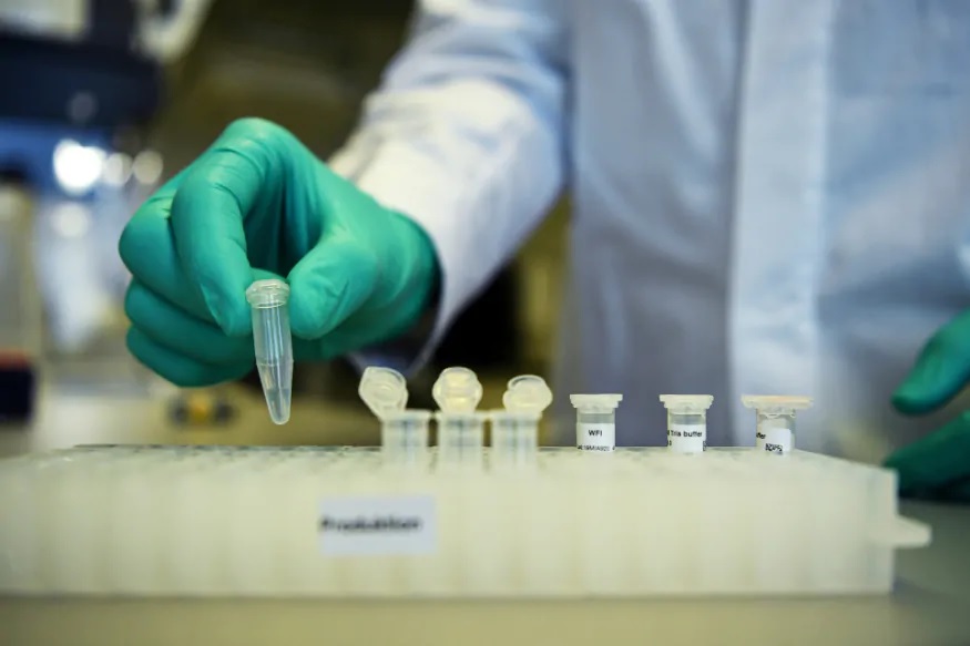 भारताने कोरोनावर वॅक्सिन बनवण्यासाठी उचललं मोठं पाऊल, प्राण्यांवर होणार ट्रायल