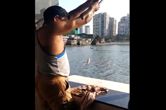 VIRAL VIDEO : कोळीवाड्यात असं खिडकीतून सुरू आहे Work From Home