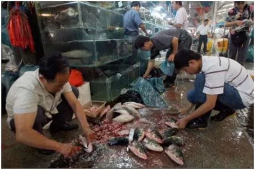 लॉकडाऊन हटवताच वुहानमध्ये मांस खरेदीला वेग, अमेरिकेकडून बाजार बंद करण्याची मागणी