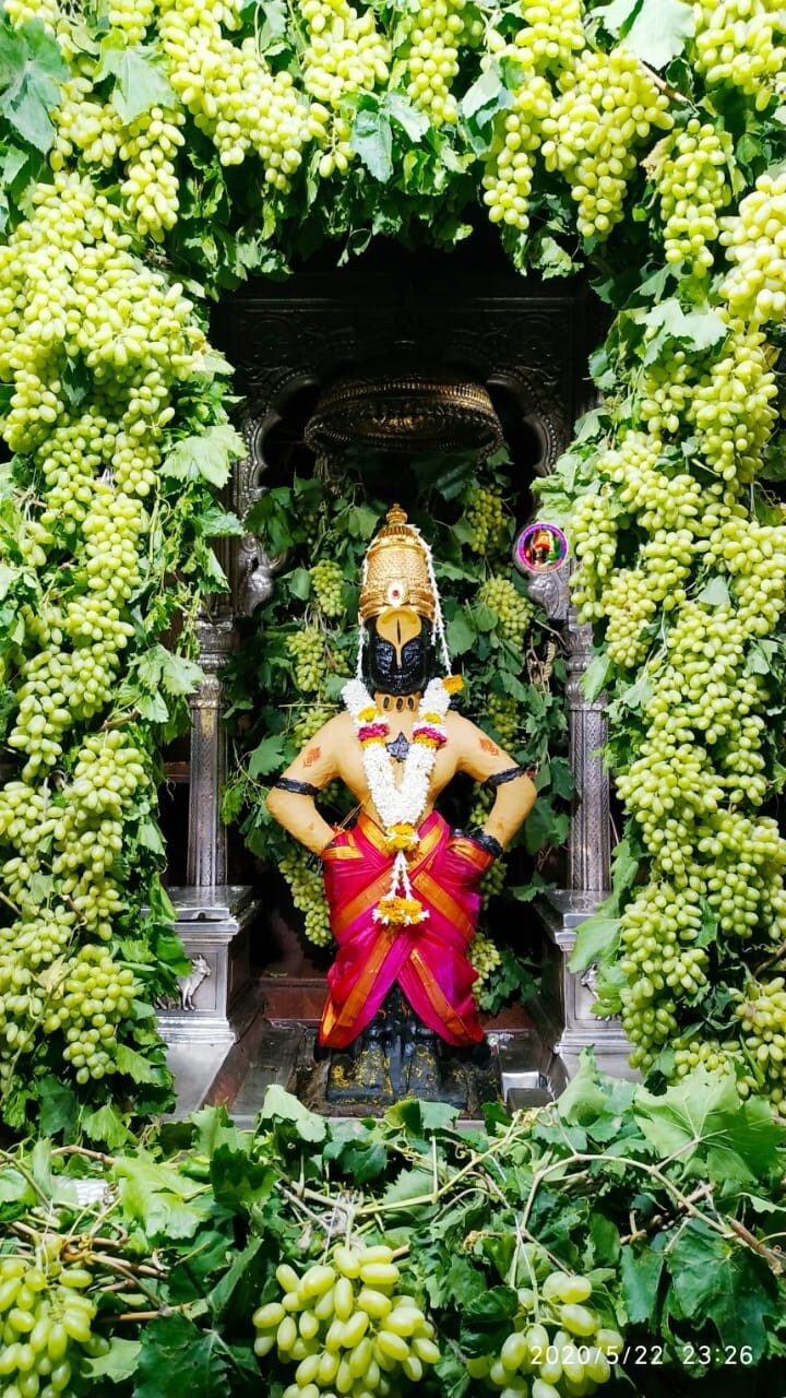 ज्येष्ठ महिन्याला आजपासून सुरुवात झाली आहे. दशहाराच्या पहिल्या दिवसा निमीत्त आज विठ्ठल-रुक्मिणीच्या गाभाऱ्यासह मंदिराला सुंदर द्राक्षांच्या घोसांनी आरास केली आहे. ज्येष्ठ महिन्याला आजपासून सुरुवात झाली आहे. दशहाराच्या पहिल्या दिवसा निमीत्त आज विठ्ठल-रुक्मिणीच्या गाभाऱ्यासह मंदिराला सुंदर द्राक्षांच्या घोसांनी आरास केली आहे.
