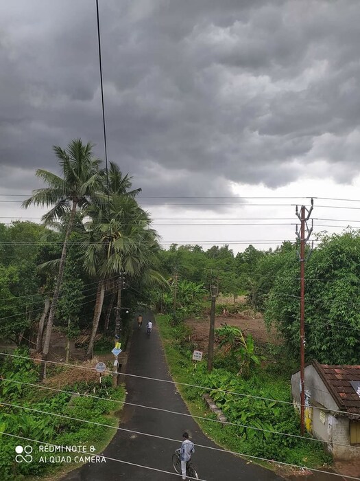 सरकारने घरीच राहायचा सल्ला पूर्व किनारपट्टी भागातल्या नागरिकांना दिला आहे. 