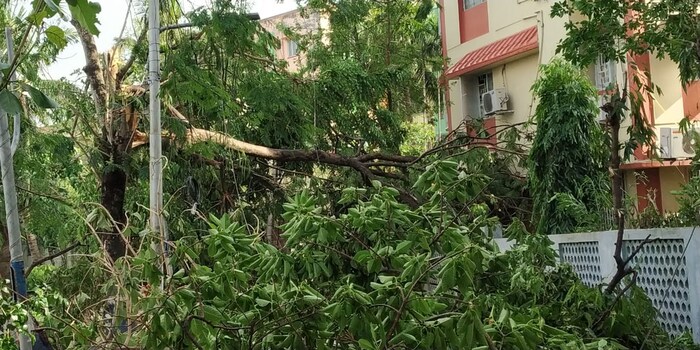 बंगालच्या उपसागरात निर्माण झालेलं अम्फन हे भीषण चक्रीवादळ बुधवारी किनाऱ्याला धडकलं. 
