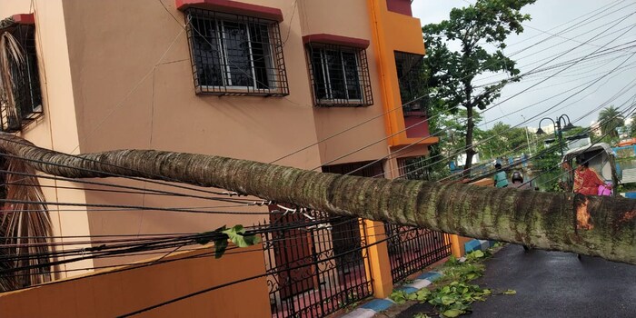 अनेक घरांचं झाडं पडून नुकसान झालं. वीज गेली, छप्पर उडाली.