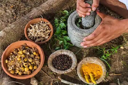 कोरोनाला रोखणारा आयुर्वेदिक काढा, 6000 लोकांवर टेस्ट केल्याचा गुजरात सरकारचा दावा