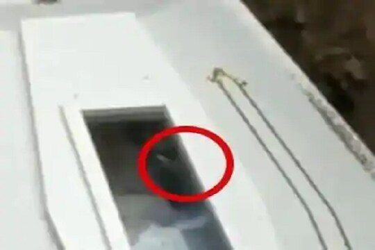 दफनभूमीत मृतानं केलं बाय बाय; Video पाहून तुम्हालाही फुटेल घाम