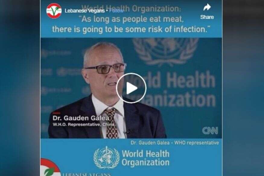 शाकाहारी लोकांना कोरोनाचा कमी धोका; WHO च्या 'त्या' व्हिडिओमागील काय आहे सत्य?