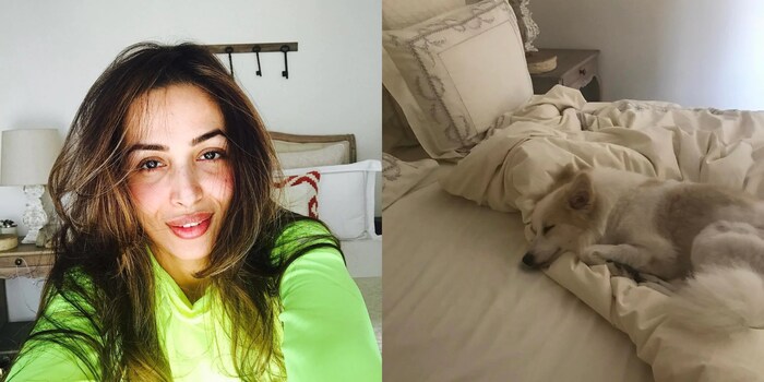मलायकाच्या मॉर्निंग सेल्फीमध्ये हल्ली अनेकदा तिचा बेडरुम पाहायला मिळतो. 