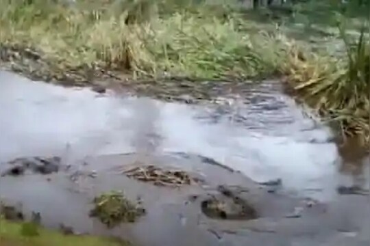 बघता-बघता नदीत तयार झाला खड्डा...समोर आलेलं सगळं गिळंकृत केलं, पाहा थरारक VIDEO