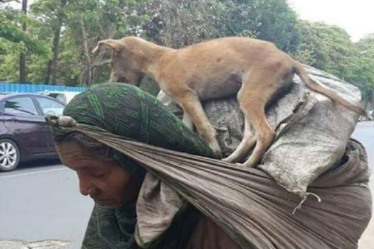 Lockdown मध्ये भूतदया! साथ देणाऱ्या मुक्या प्राण्याची वृद्ध महिला अशी घेतेय काळजी