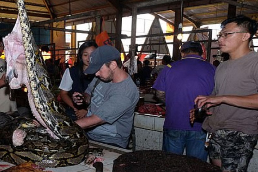 बाप रे! तरुणाला सुरू झाला श्वसनाचा त्रास, X-Ray मधून समोर आली धक्कादायक माहिती