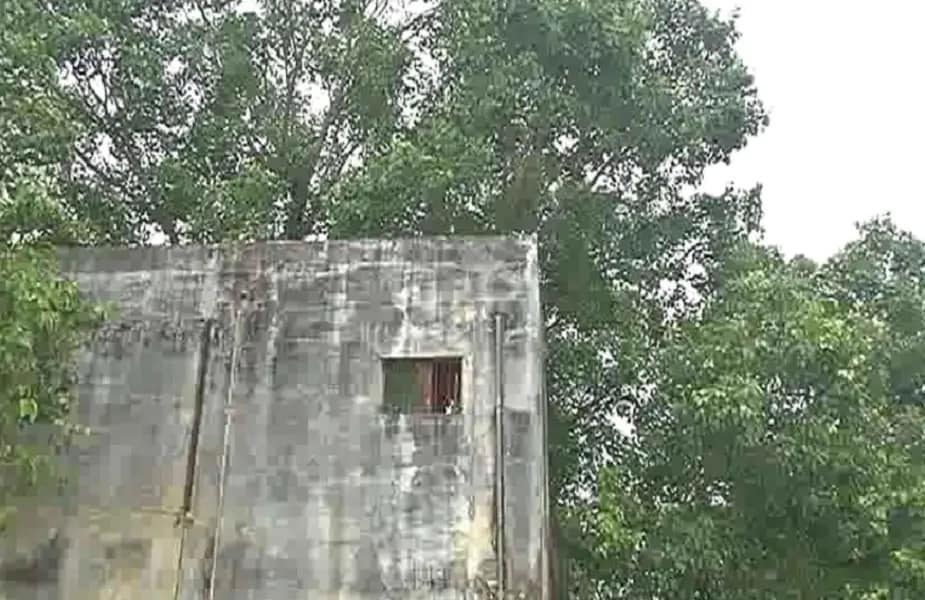 या घराला पाहून अनेकांना प्रश्न पडला आहे घरात झाड आहे की झाडावर घर. हे घर डॉ मोतीलाल केशरवानी यांचं आहे. 28 वर्षांपूर्वी त्यांनी हे घर आपल्या मित्राच्या मदतीनं बांधलं.तेव्हापासून हे झाडं आजपर्यंत सुरक्षित आहे. याला कोणीही धक्का लावू शकलं नाही.