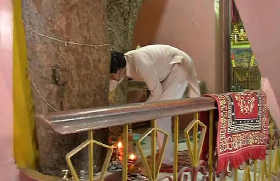 पर्यावरण वाचवण्याच्या हेतू हे घर झाड न तोडता बांधण्यात आलं आहे. आताही या झाडाच्या फांद्या घरातून निघताना पाहायला मिळतात. या घराची सध्या सोशल मीडियावर तुफान चर्चा आहे.