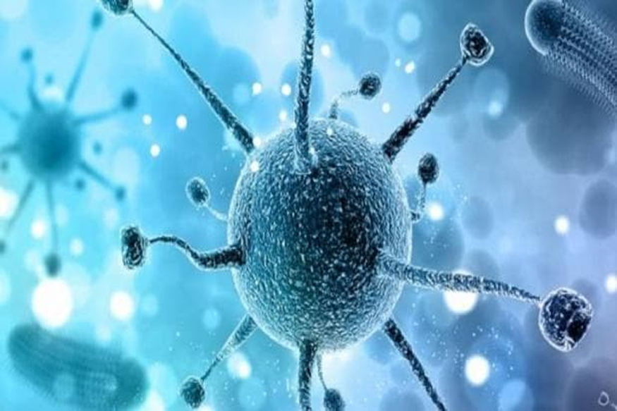 अमेरिकेतील सेंटर फॉर डिसीज कंट्रोल अॅण्ड प्रिव्हेंशन या वैद्यकीय संस्थेनं तीन नवीन कोरोनाची लक्षणं समोर आणली आहे. पावसाळ्यात भारतात ही लक्षण मोठ्या प्रमाणात वाढण्याची शक्यता आहे.