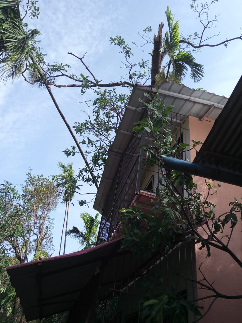 दोपोली तालुक्यात मुरूड, वेळास, केळशी आणि अनेक गावांच प्रचंड नुकसान झालं आहे. त्यामुळे पावसाळ्याच्या तोंडावर संसार कसा उभा करायचा असा प्रश्न लोकांना पडलाय. दोपोली तालुक्यात मुरूड, वेळास, केळशी आणि अनेक गावांच प्रचंड नुकसान झालं आहे. त्यामुळे पावसाळ्याच्या तोंडावर संसार कसा उभा करायचा असा प्रश्न लोकांना पडलाय.