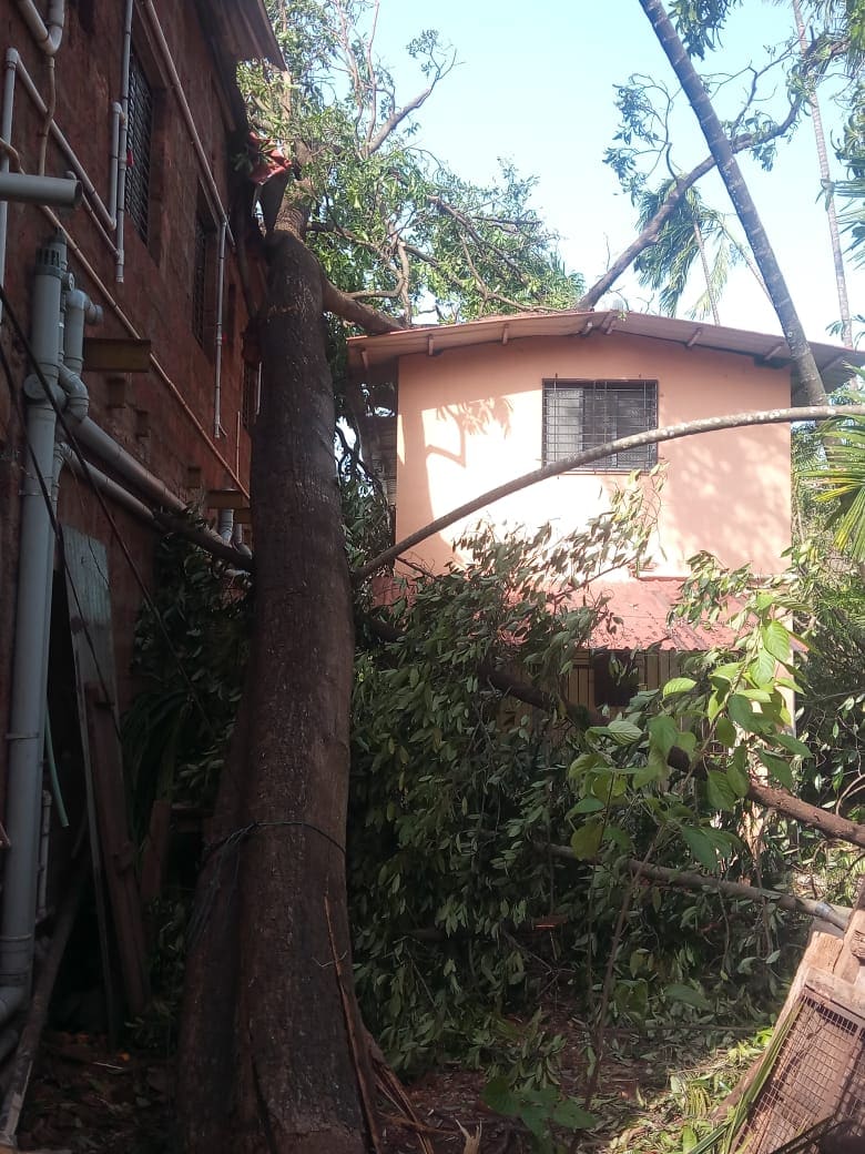 गावंच्या गावं उद्धवस्त झाल्याने शेकडो नागरीक उघडयावर असून कोरोनामुळे त्यांच्यात प्रचंड दहशत निर्माण झाली आहे. गावंच्या गावं उद्धवस्त झाल्याने शेकडो नागरीक उघडयावर असून कोरोनामुळे त्यांच्यात प्रचंड दहशत निर्माण झाली आहे.