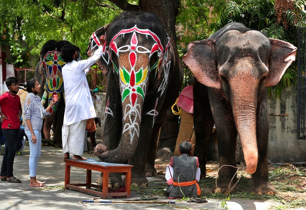 तब्बल 5130 वर्षांपूर्वी सूर्यग्रहण झालं तेव्हा भगवान कृष्ण, भलराम आणि सुभद्रा यांच्यासमवेत कुरुक्षेत्रला गेले आणि त्यानंतर वृंदावन लोकांनी त्यांना रोखलं आणि सांगितलं की तुम्ही आमच्याबरोबर वृंदावनला चला. तब्बल 5130 वर्षांपूर्वी सूर्यग्रहण झालं तेव्हा भगवान कृष्ण, भलराम आणि सुभद्रा यांच्यासमवेत कुरुक्षेत्रला गेले आणि त्यानंतर वृंदावन लोकांनी त्यांना रोखलं आणि सांगितलं की तुम्ही आमच्याबरोबर वृंदावनला चला.