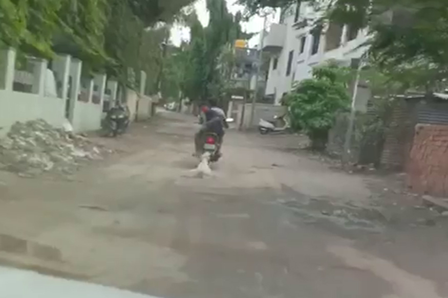 हत्तीच्या हत्येमुळे देश हादरला, औरंगाबादमधून आली कुत्र्याची संतापजनक घटना समोर, भयंकर VIDEO